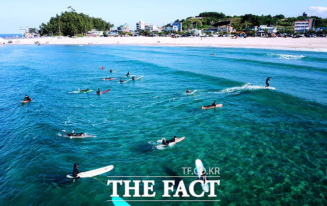 '떠나자! 양양으로' 1일 오후 강원도 양양군 남애3리 해변에서 서퍼들이 푸른 바다 위 파도를 즐기고 있다.
