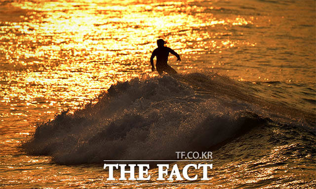 '서퍼들의 여름나기' 지난 1일 오후 강원도 양양군 남애3리 해변에서 한 서퍼가 노을을 등지고 파도를 타고 있다. /양양=이덕인 기자