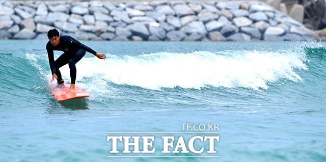 '정확한 타이밍' 고도의 평형감각을 유지하고 자연의 섭리를 따라 정확한 타이밍에 파도를 탄다.