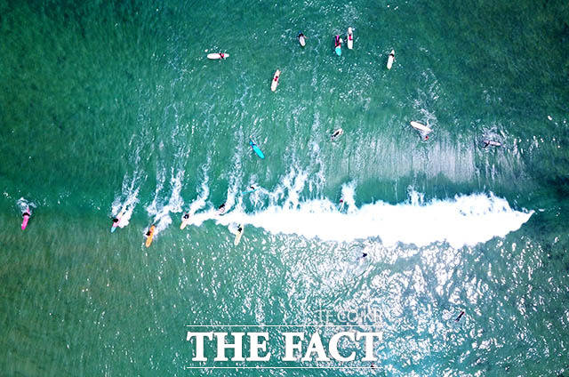 '기다림의 미학' 좋은 파도가 반기길 기다렸다가 삼삼오오 파도를 타는 서퍼들.