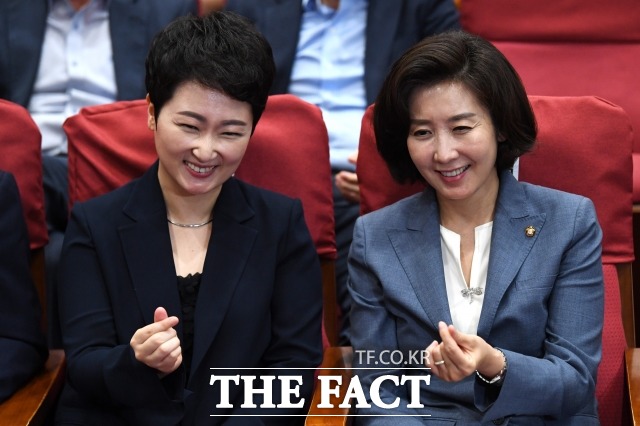 '싫은 사람을 떨어뜨리는' 선거에선 이 의원의 선명한 비판의 목소리가 먹혀들어갈 수 있다는 게 정치 전문가들의 평가다. /남윤호 기자