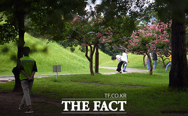 시설관리공단 직원이 다가가자...'황급히 잔디밭을 나오는 여성들'