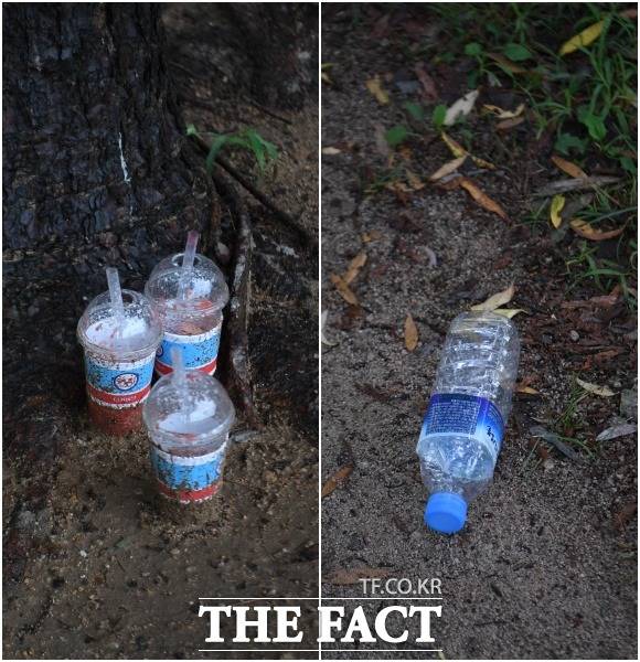 사진 찍는 사람들 근처에는 버려진 일회용기들이 널려 있다.