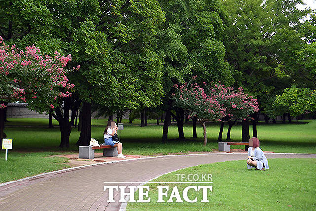 푯말이 근처에 있어도 잔디밭에 자리를 잡은 여성.