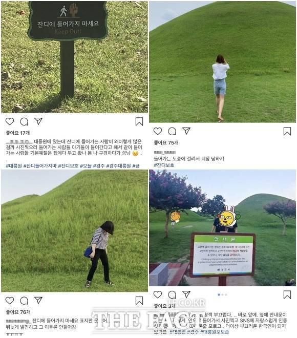 대공원 '잔디보호'와 관련해 올라온 게시글들. /인스타그램 캡처