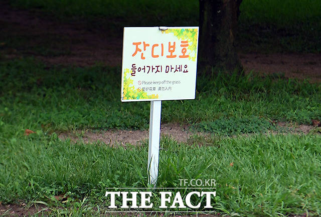 유네스코 세계문화유산인 대릉원 곳곳에는 '잔디보호' 푯말이 설치돼 있다.