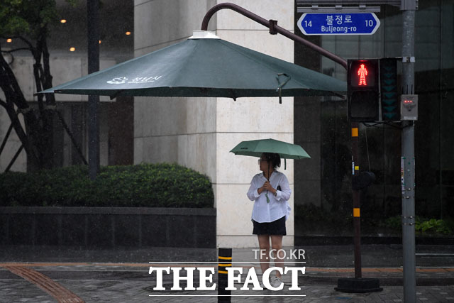 큰 우산 아래로 대피~!