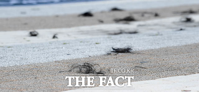 떨어진 황 대표의 머리카락