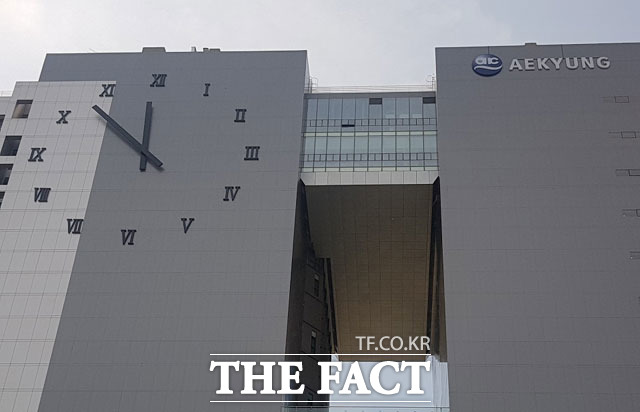 애경그룹이 조달 가능한 현금성 자산규모는 3000억~4000억 원으로 추정되고 있다. /더팩트 DB