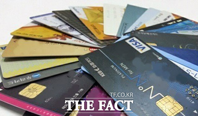 각 세대주는 11일부터 카드사 홈페이지 또는 모바일 애플리케이션을 통해 지원금을 신청할 수 있다. /더팩트 DB