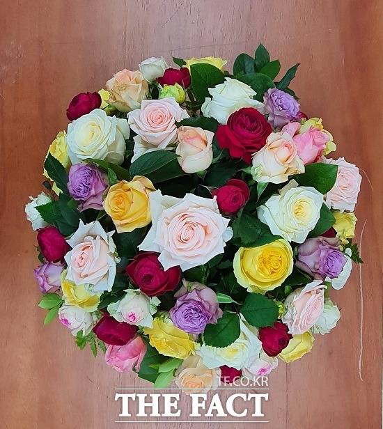 문재인 대통령이 20일 사회관계망서비스(SNS)를 통해 고온극복 혁신형 쿨링하우스에서 재배한 순수 우리 품종의 장미꽃을 소개했다. /청와대 제공