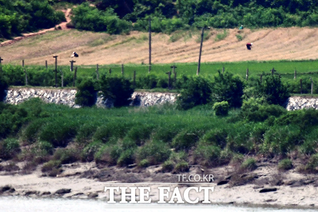 경기도 파주시 오두산 통일전망대에서 바라본 북한 황해북도 개풍군 마을. /더팩트 DB