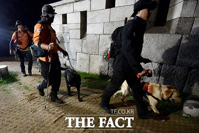 박원순 서울시장이 실종됐다는 신고가 들어온 9일 오후 서울 종로구 와룡공원 인근 북악산에서 경찰이 수색견과 함께 주변을 수색하고 있다. /이선화 기자