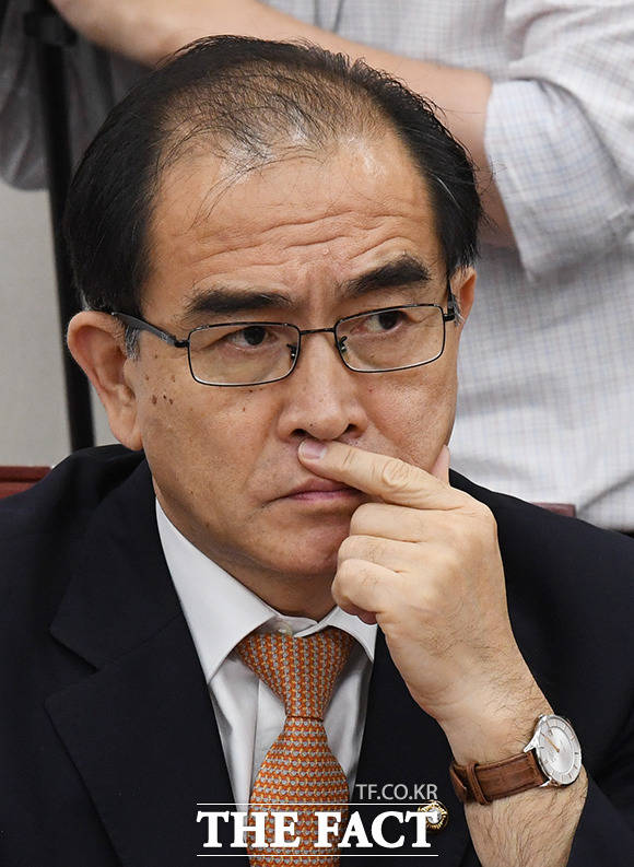 태영호 미래통합당 의원. /더팩트 DB