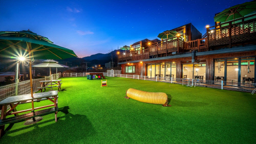 가평 모나코 애견펜션 전경. 제공 | 여기어때