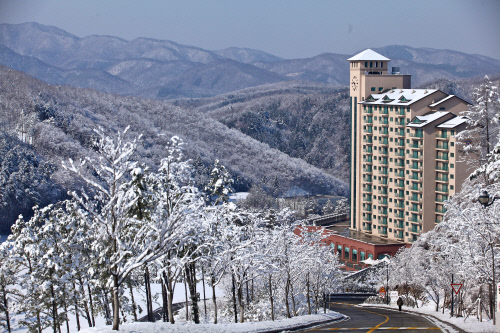 오크밸리 스키장.