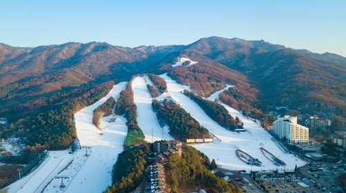 베어스타운 스키장