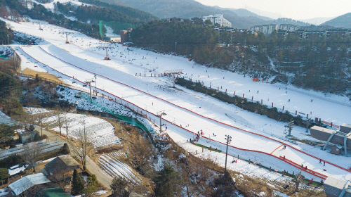 베어스타운 스키장