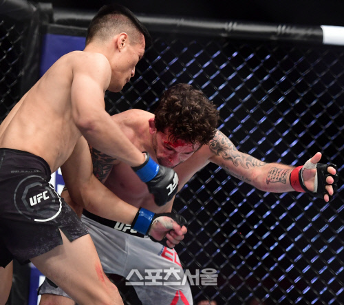 정찬성이 프랭키 에드가의 얼굴에 강력한 훅을 성공시키며 에드가를 두번째로 케이지에 주저 앉히고 있다. 부산 | 이주상기자 rainbow@sportsseoul.com