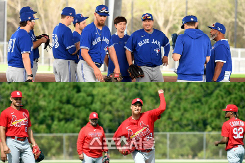 토론토 동료들과 웃고있는 류현진(위)과 세인트루이스 투수 수비 훈련 중인 김광현. 사진 | 스포츠서울 DB