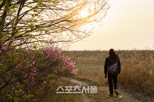 석모도 상주해안길. 숲길 끝지점. 제공|한국관광공사