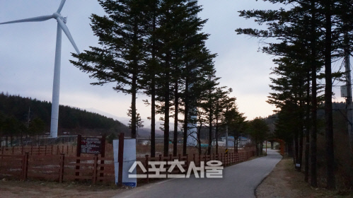 바우길 01코스 선자령 풍차길. 공터에서 주차장으로 돌아가는 길목. 제공|한국관광공사