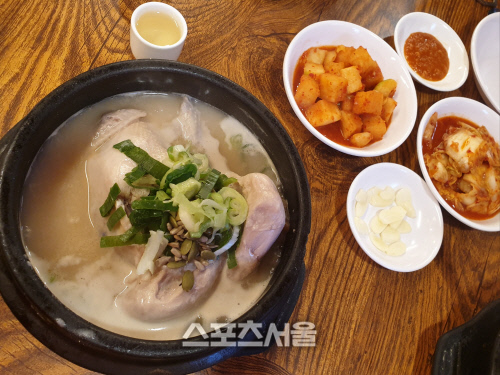 토속촌 삼계탕. 양미정 기자 certain@sportsseoul.com