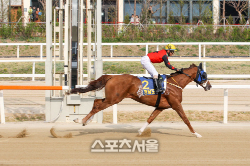 2019년 헤럴드경제배 우승을 차지한 청담도끼와 안토니오 기수  제공 | 한국마사회