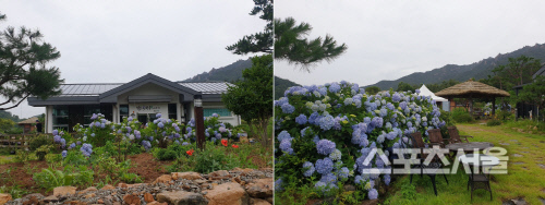 이한영 생가 전경. 양미정 기자 certain@sportsseoul.com