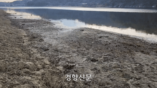 지난 4일 찾은 공주보 인근의 금강 모습. 공주보 담수로 인해 금강 인근이 펄밭이 됐으며 악취가 심하게 났다. 강정의 기자