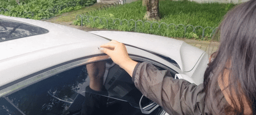 국립생물자원관 연구진이 지난 25일 서울 양천구 한 아파트 단지 내 흰색 차량에 붙어 있던 붉은등우단털파리(러브버그)를 채집해 알코올에 넣고 있다. 강한들 기자