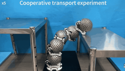 홍콩 중문대 연구진이 개발한 로봇. 공 모양 동체 5개가 결합 또는 분리되며 자유자재로 움직인다. 중문대 연구진 제공