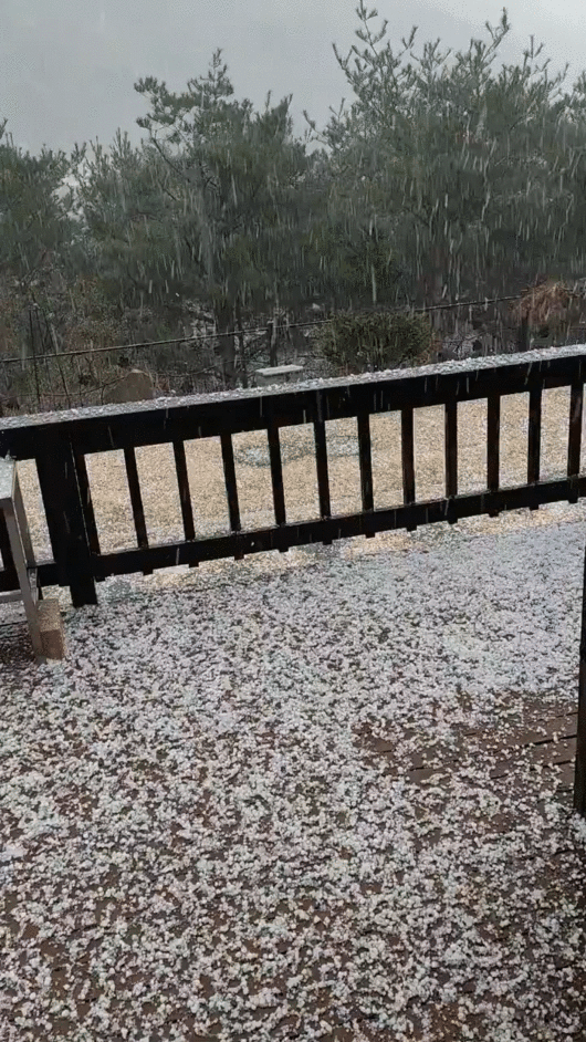 6일 서울 강남일대에 우박이 쏟아지고 있다. X캡쳐