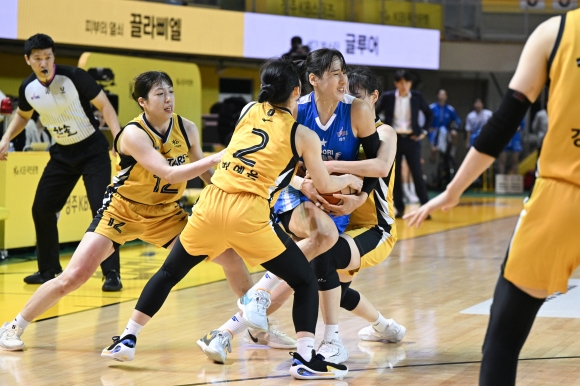 서울신문