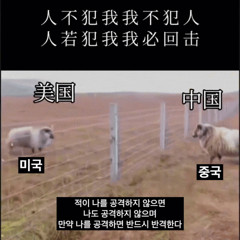 다이빙 중한중국대사가 11일 자신의 엑스(X) 계정에 미국 트럼프 행정부의 상호관계 90일 유예 결정에 대한 글과 함께 ‘미국’으로 표기된 양이 ‘중국’으로 표기된 양에게 돌진해 들이받았다가 물러나는 영상을 게재했다. 다이빙 주한 중국대사 엑스(옛 트위터) 캡처