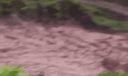 지난 15일 파키스탄 북서부 카이베르파크툰크와주(州) 부네르 지역 등지에서 갑자기 내린 폭우에 따른 홍수로 최소 344명이 숨졌다.