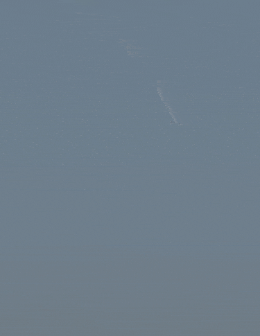 지난 14일(현지시간) 남아프리카공화국 동부 항구 도시 더반에서 열린 에어쇼 도중 곡예비행을 펼치던 비행기가 바다로 추락하는 모습