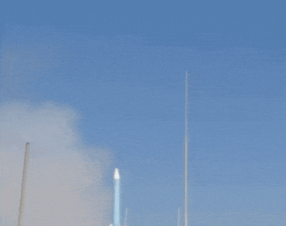 소셜미디어에 공개된 영상의 일부