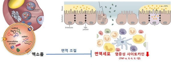 팍스경제TV