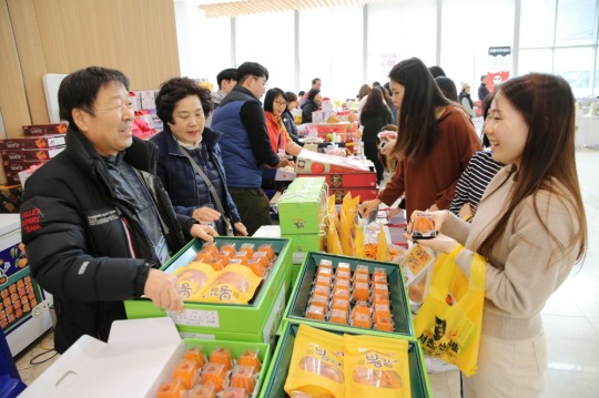 한국금융신문