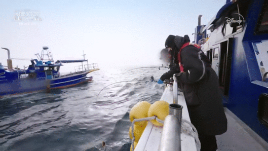 '인더숲 : 우정여행' 3차 티저 예고편이 공개돼 관심을 모으고 있다. [사진='인더숲 : 우정여행' 3차 티저 영상 캡쳐]