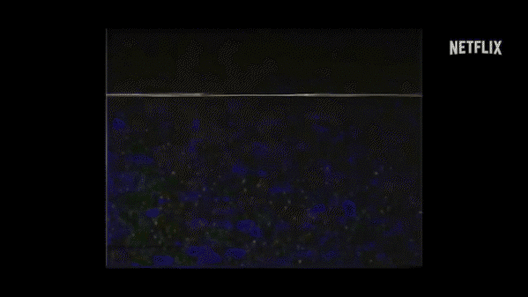 넷플릭스 영화 '20세기 소녀' 티저 예고편이 공개돼 관심을 모으고 있다. [사진=넷플릭스 '20세기 소녀' 티저 예고편 캡쳐]