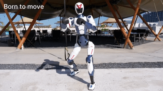 중국 유니트리가 25일 공개한 휴머노이드 로봇 'R1'이 격투를 하는 모습. [사진=유니트리 공식 유튜브 채널]