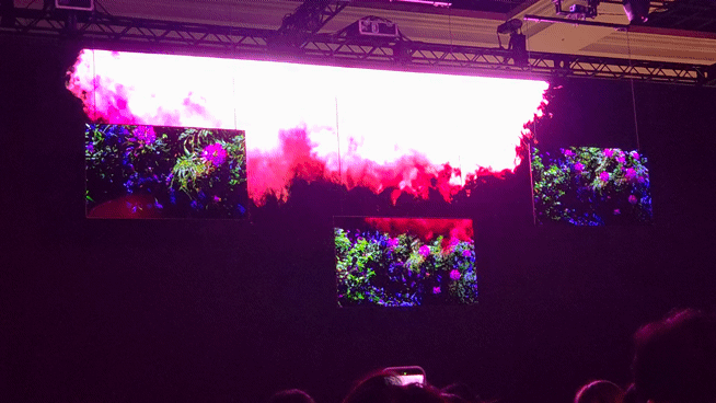 LG전자의 월페이퍼 TV 신제품. [사진=박지은 기자]