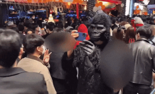 고릴라 탈을 쓴 한 남성이 버니걸 분장을 한 여성을 불법 촬영하고 있다. /영상=뉴스1