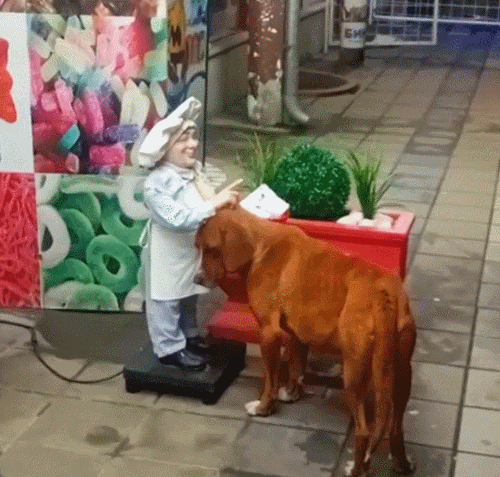 /사진=틱톡 갈무리