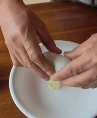 충북 괴산군의 한 농가에서 키우던 닭이 낳은 달걀 속에서 또 하나의 달걀이 나와 화제다./영상=조광현 씨 제공, 연합뉴스