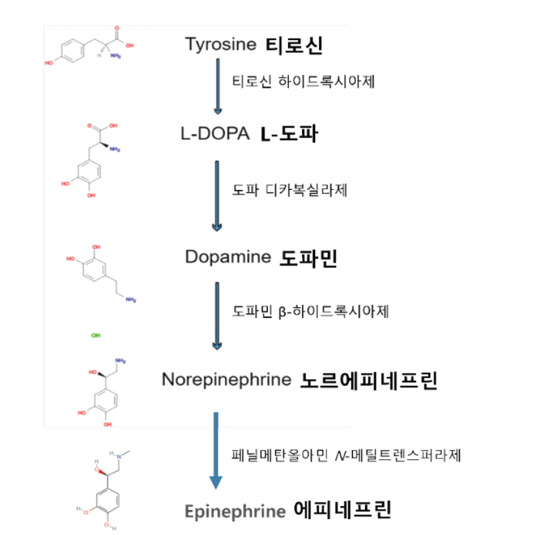 파이낸셜뉴스