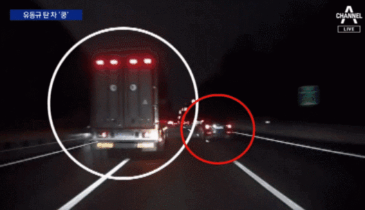 [영상출처 = 채널A 방송]