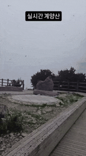 누리꾼 A씨가 계양산에서 찍은 영상 [영상 = 인스타그램 갈무리]